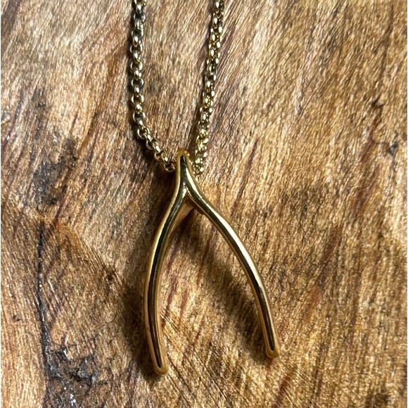 J. Crew Jewelry - Wishbone Pendant Gold Long 34” Necklace by Lucky 🍀 Brand
